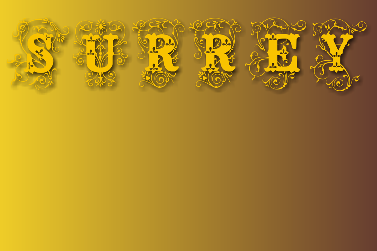 Surrey preview 4