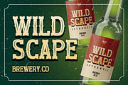 Wildscape Vintage Western Serif Font, a Slab Serif Font by Vadovastd (Thumbnail 4 of 7)
