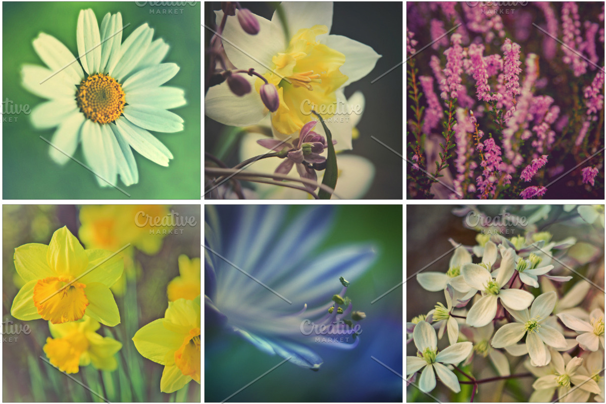 iseeyouphoto SUPAFLORA preview 7