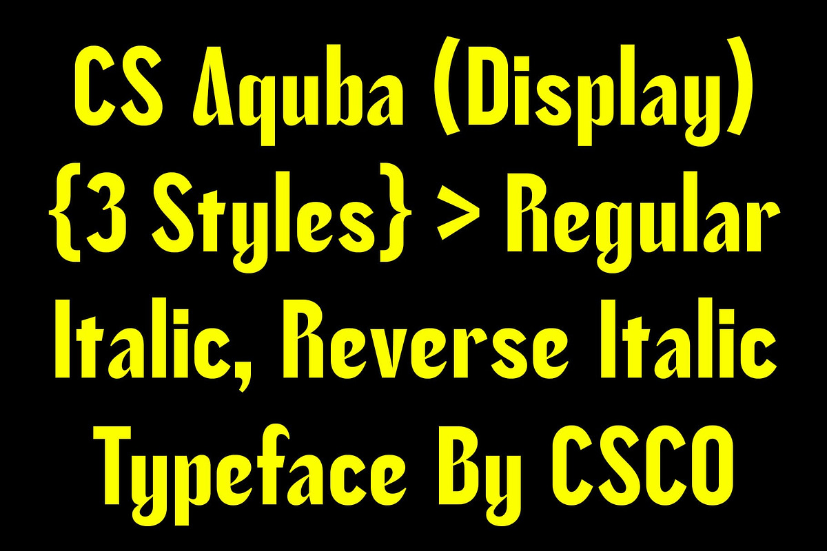 CS Aquba – Bold Font, a Sans Serif Font by Craft Supply Co. (Photo 2 of 8)