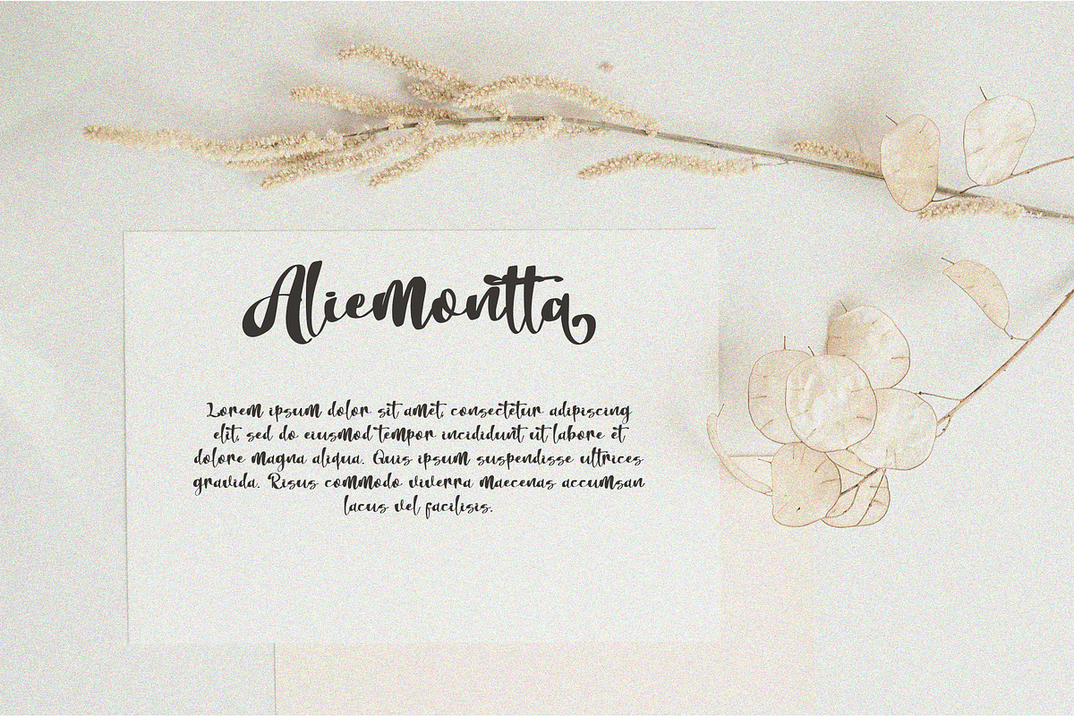Mellanitta Brush Script Font, a Script Font by NTC Graphic (Photo 2 of 9)