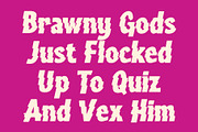 CS Nomic Rippled, a Sans Serif Font by Craft Supply Co. (Thumbnail 5 of 8)