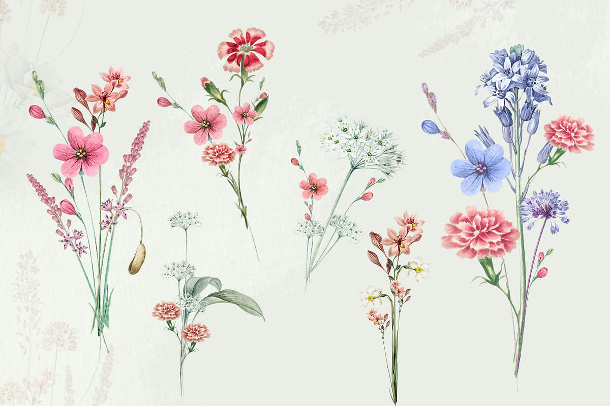 35 Vintage Flowers Collection, an Object Graphic by EvitePapery (Photo 4 of 7)
