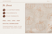 Painted Pumpkin | Pumpkin Line Art, a Seasonal Illustration by Fins and Fiction (Thumbnail 5 of 5)