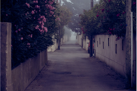 Little Street a Foggy Day
