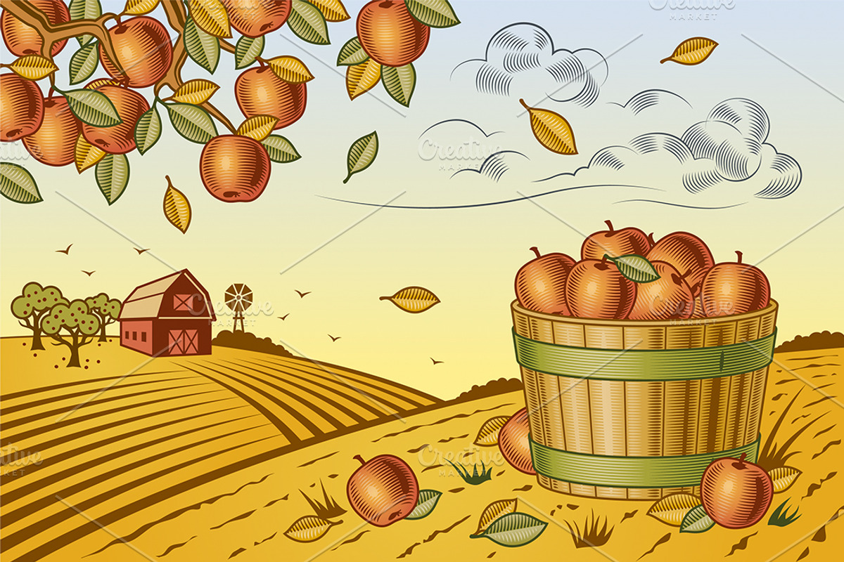Apple Harvest Landscape, a Food Illustration by Retro Graphics