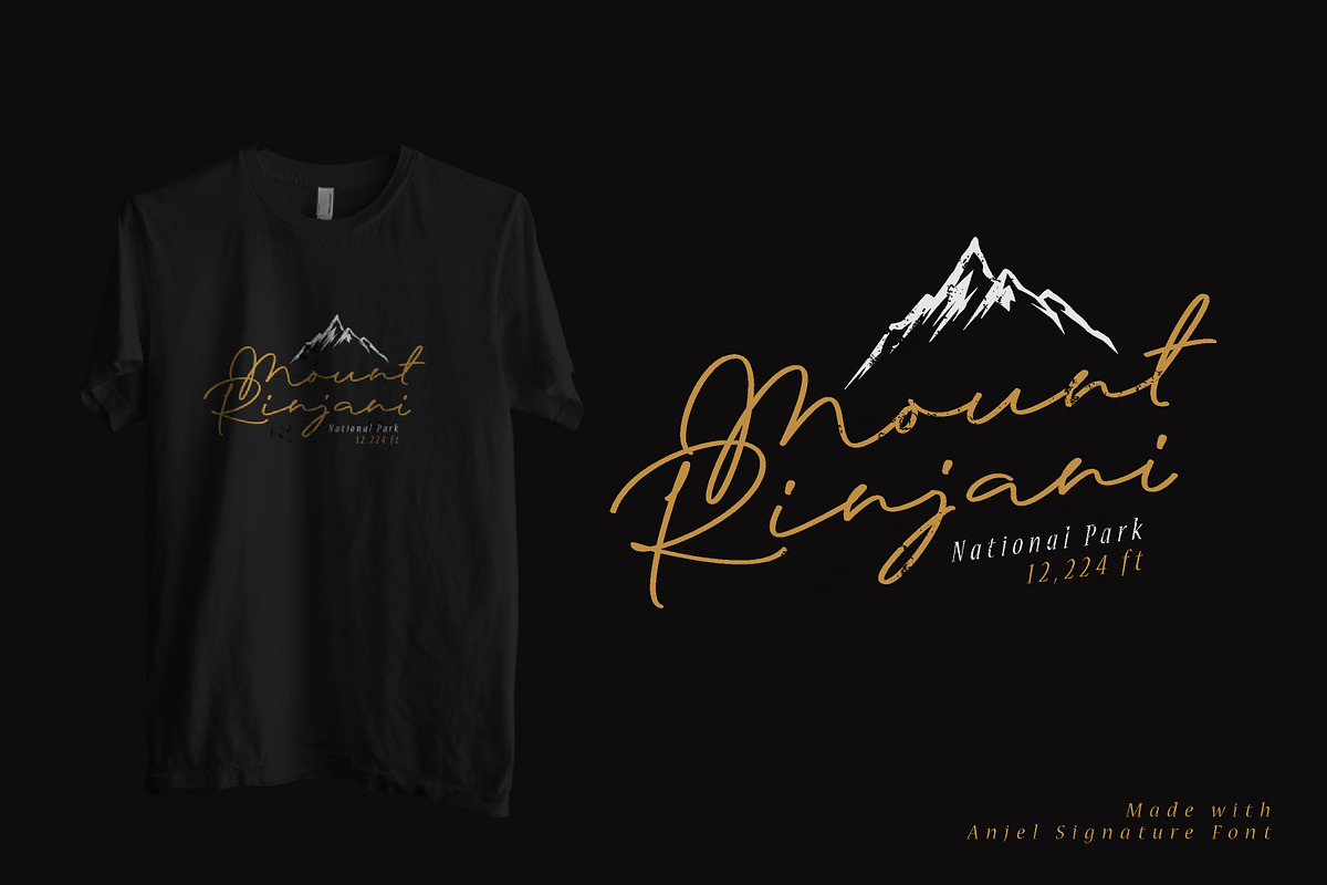 Anjel // Classy Signature Font preview 8
