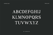Grillages Modern Serif Font, a Serif Font by UICreative (Thumbnail 7 of 11)