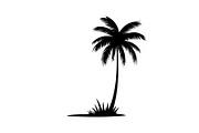 Summer Beach Palm Bundle, an Illustration by jahid234 (Thumbnail 6 of 21)