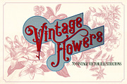 Vintage Flower Illustrations, a Decorative Illustration by Mr Vintage (Thumbnail 1 of 13)