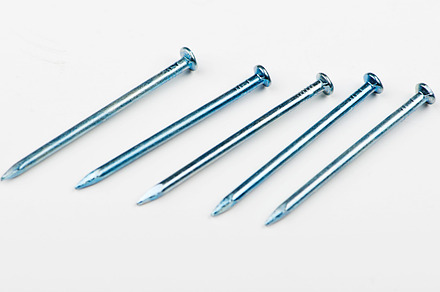 Various nails in line on white background. Copy space. Isolated., an Industrial Photo by José Luis Agudo