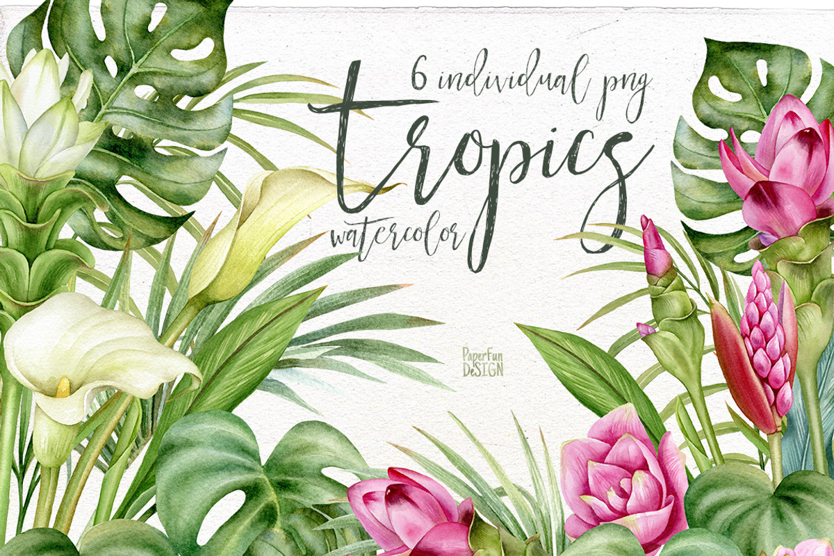Watercolor tropical arrangements., an Illustration by Mary (Photo 1 of 4)