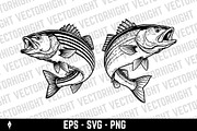 illustration of a Sea Bass, an Animal Illustration by Vectorhight (Thumbnail 1 of 3)