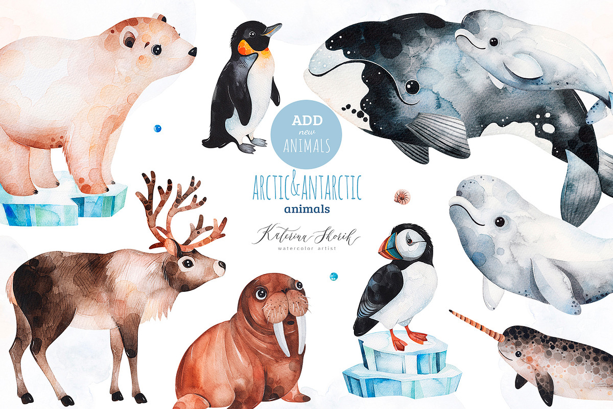 Arctic&Antarctic animals, an Animal Illustration by Kate_Rina (Photo 1 of 4)