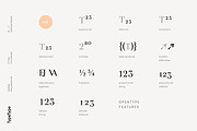 TT Tsars, a Serif Font by TypeType (Thumbnail 10 of 10)