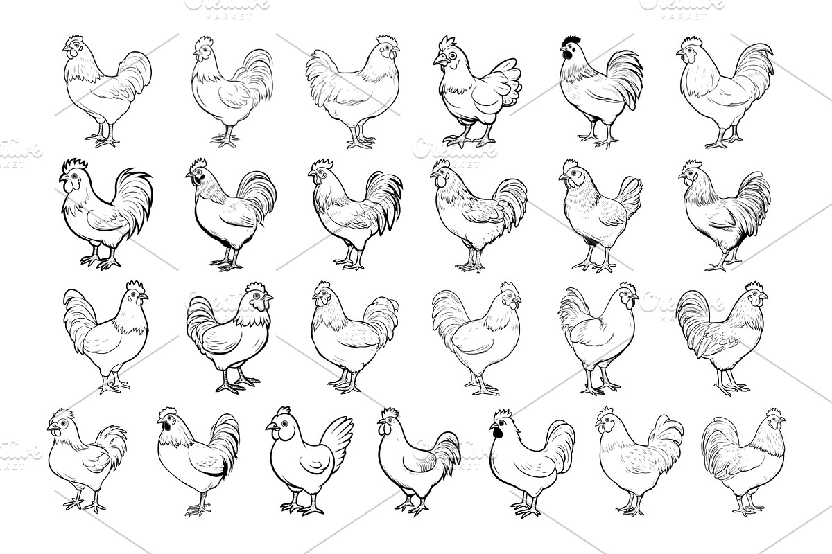50 Chicken Procreate Stamps Brushes, a Brush Add-On by Procreate Sale (Photo 4 of 6)