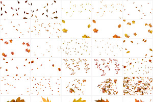 40 Autumn Leaves Overlays