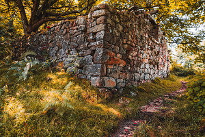 Old stone wall in autumn forest, an Architecture Photo by SkyNext