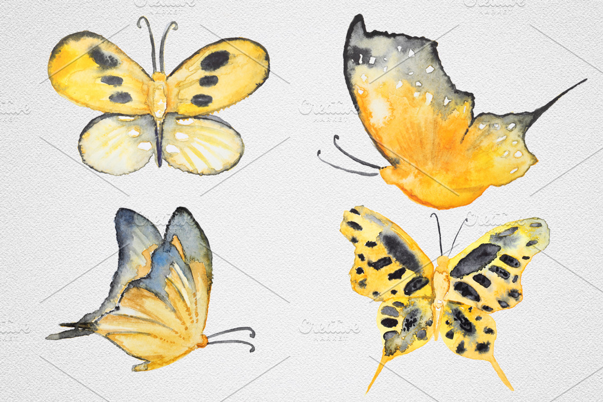 Watercolor Butterfly set #1, an Object Graphic by IvanFet (Photo 7 of 8)