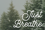 Yuletide Monoline Script, a Script Font by Freshly Made Type (Thumbnail 5 of 9)