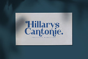 Phantom Shrine - Beautiful Serif Fon, a Serif Font by StringLabs (Thumbnail 3 of 15)
