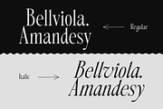 Morvella Stylish Serif, a Serif Font by Letterhend Studio (Thumbnail 6 of 12)