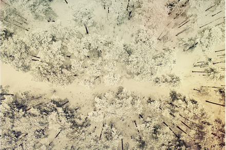 Winter road in snow covered forest, a Nature Photo by Nature and travel