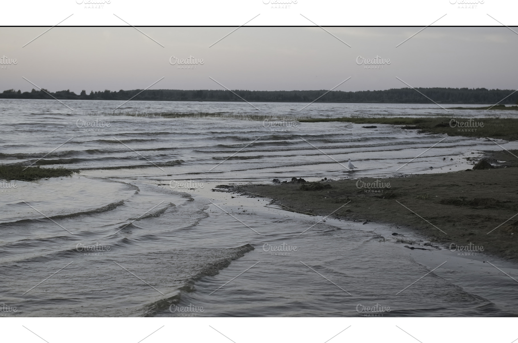 Beautiful lake landscape with waves, a Nature Photo by Media Whale Stock