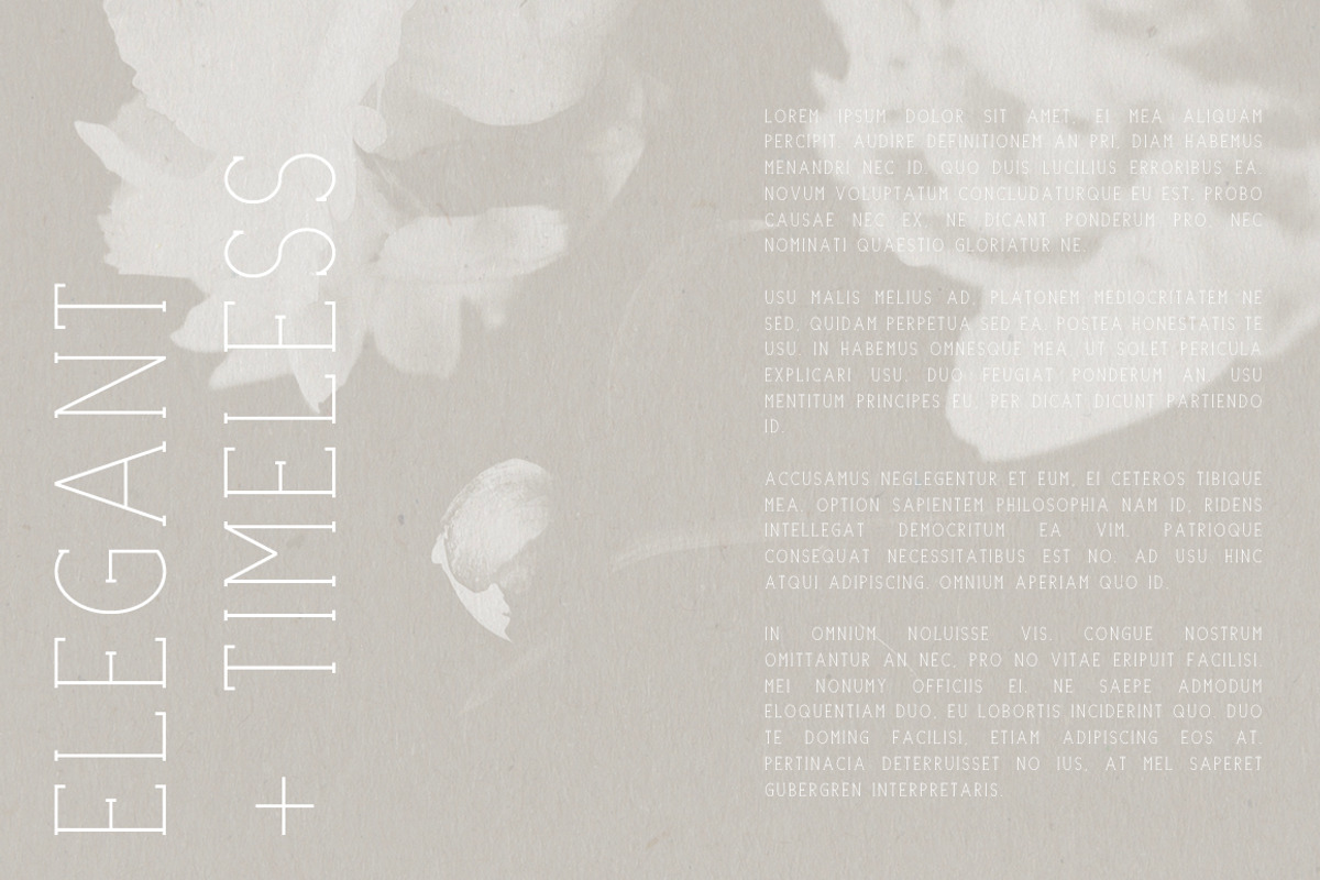 Portland Serif | A Multi-Weight Font preview 4