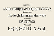 Regus Brown, a Serif Font by Ryan Rivaldo Vierra (Thumbnail 16 of 16)