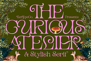 TAN - CURIOUS, a Serif Font by TanType (Thumbnail 1 of 11)
