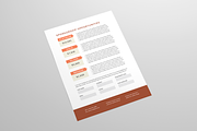 Nonprofit Fundraising Flyer Bundle, a Flyer Template by Leaflove (Thumbnail 5 of 9)