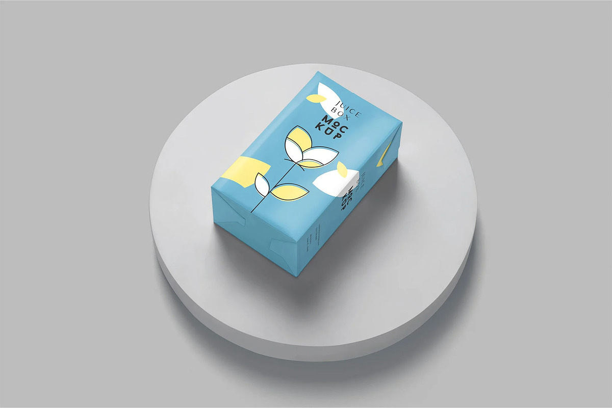 Juice Box Mockups, a Product Mockup by megostudi0 (Photo 2 of 6)