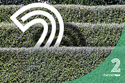 Botanical Bundle v2, an Object Graphic by envirographic (Thumbnail 4 of 5)