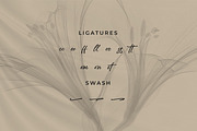 Venttaelove, a Handwritten Font by Integritype Studio (Thumbnail 11 of 15)