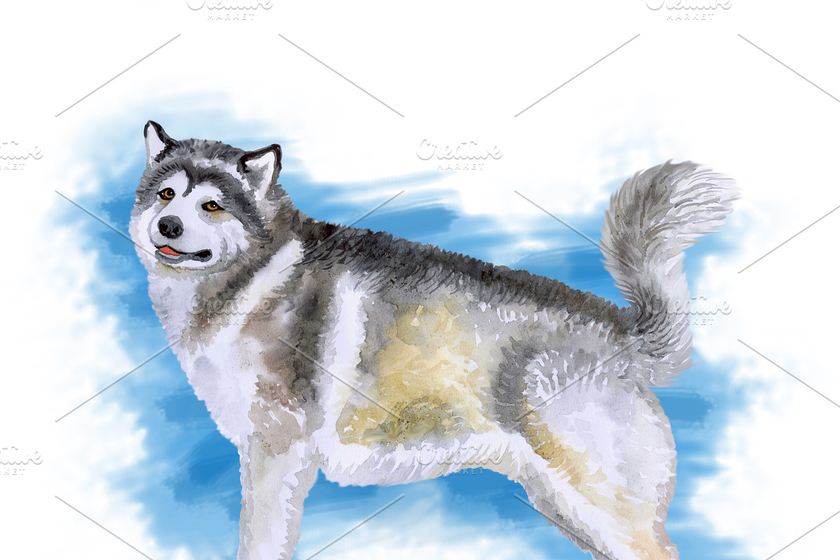 Watercolor Dogs Mega Big Bundle, an Illustration by Dneprstock (Photo 2 of 60)