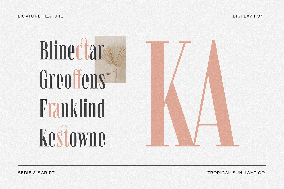 Instyles Collective - Modern Font, a Serif Font by TropicalSunlightCo. (Photo 10 of 13)