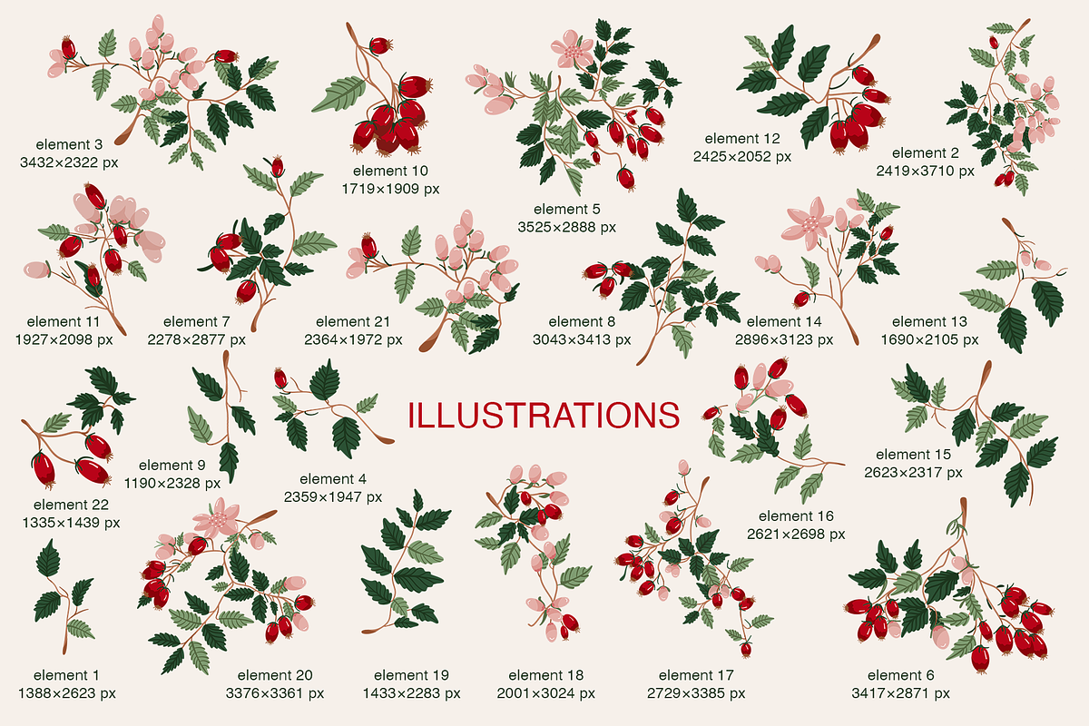 Rosehip Elegant Romantic Pattern, a Pattern Graphic by Mariia Kovalchuk (Photo 3 of 13)