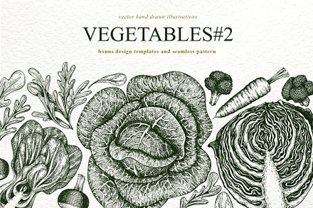 Vegetable Vector Collection #2, a Food Illustration by Lubov Illustrations Shop