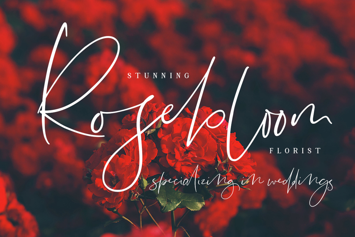 Lightheartedly Signature style font, a Script Font by Creativeqube Design (Photo 10 of 14)