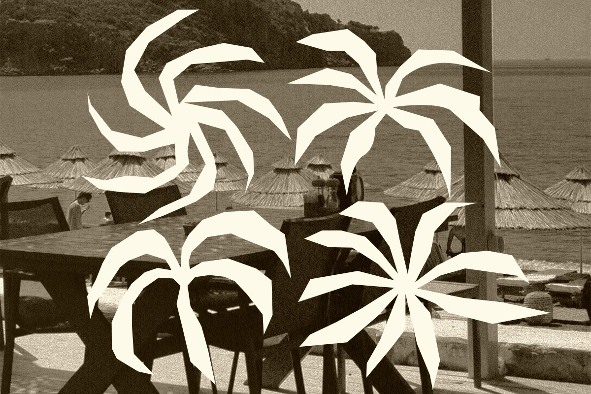 Tropic Palm 30 Raw & Organic Icons, an Object Graphic by dailygraphic (Photo 6 of 7)