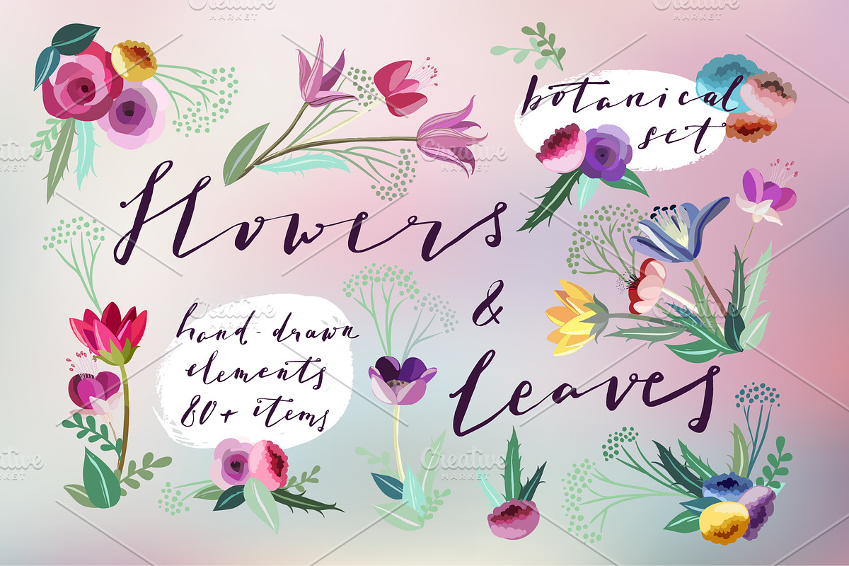 Flowers & Leaves Vector Set, a Decorative Illustration by Moo Graphics (Photo 1 of 6)