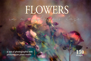 Flowers in a mysterious haze