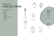 The Vegetables Collection, a Food Illustration by dicreate (Thumbnail 6 of 14)