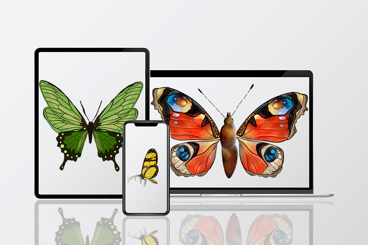 Butterflies clipart watercolor, an Animal Illustration by ElladesignCo (Photo 6 of 6)