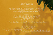 The Munday Typeface, a Sans Serif Font by alit design (Thumbnail 7 of 15)