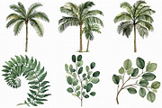 Watercolor Palm Tree Clipart, an Illustration by Libby Wishes (Thumbnail 4 of 7)