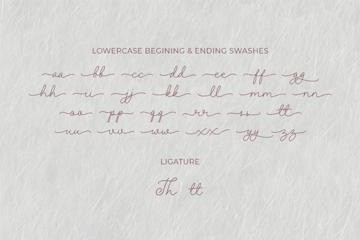 Aynun - Script Font, a Script Font by Fikry Alfatih (Photo 9 of 11)