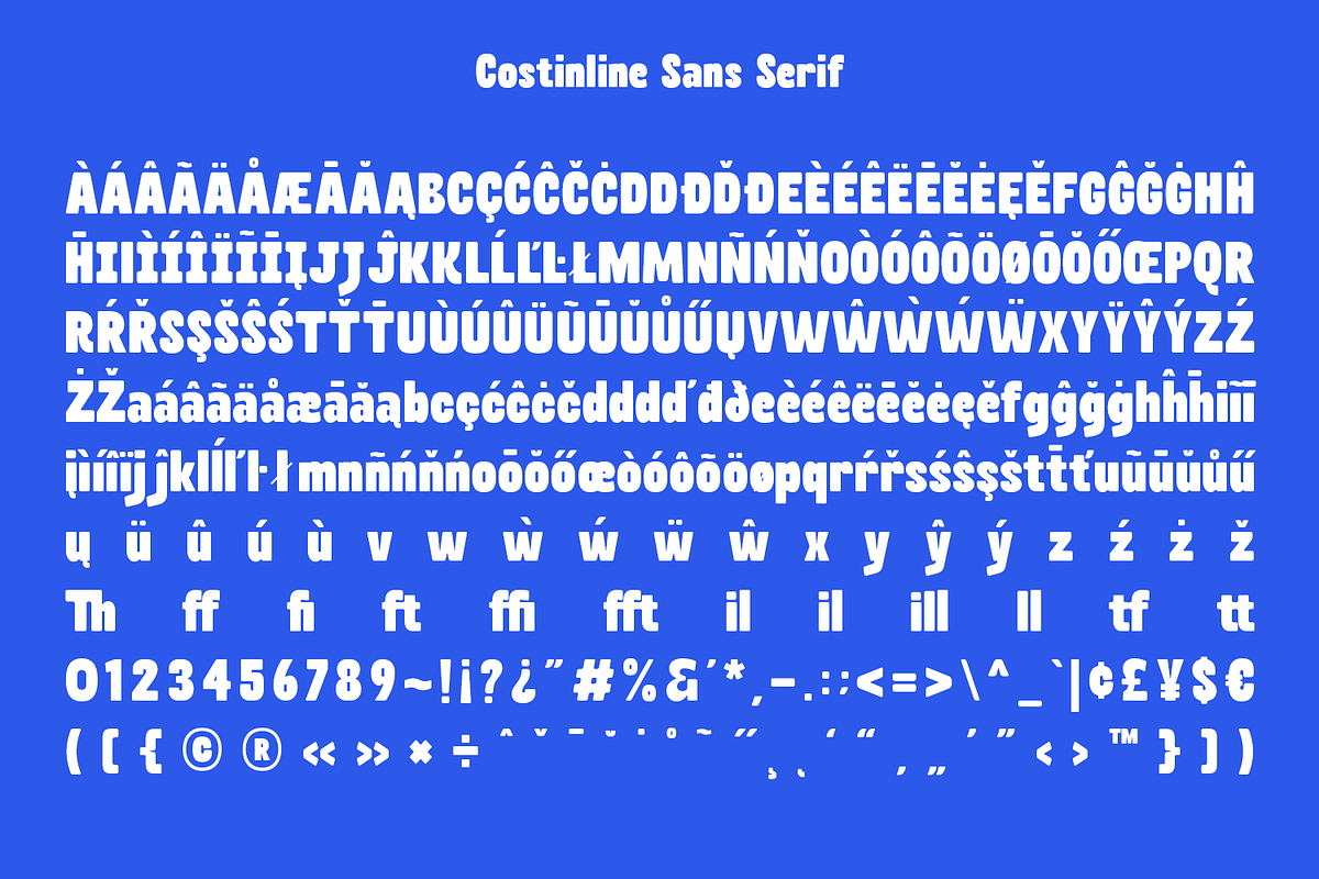 Costinline Display - Font Duo, a Script Font by Typetemp Studio (Photo 19 of 20)