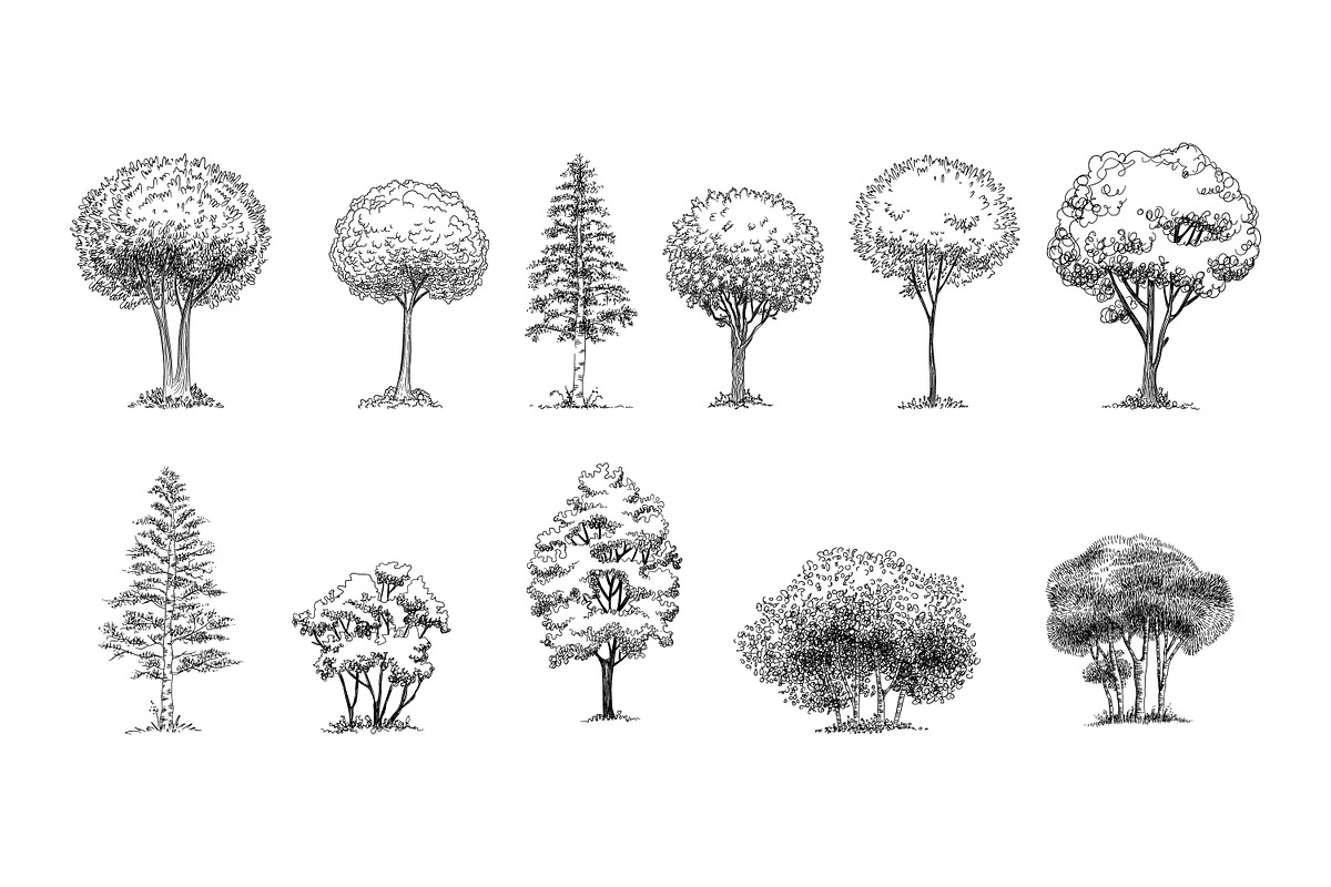 Set of hand drawn architect trees, an Object Graphic by RoMashkaVector